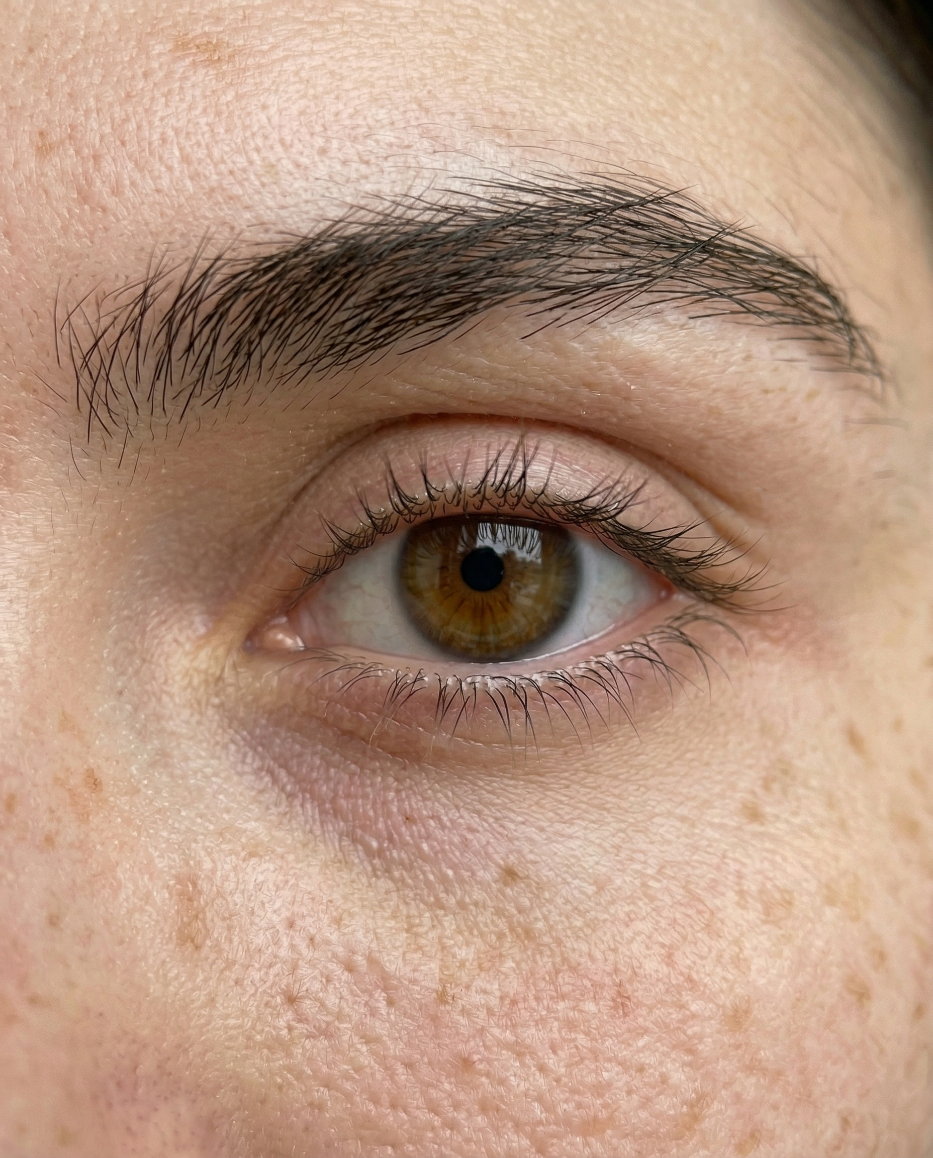 Zoom Infinito (Micro-Realismo)