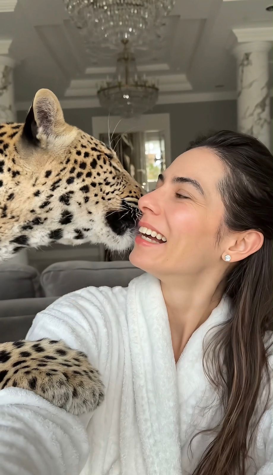 O Pack do Pet Exótico 